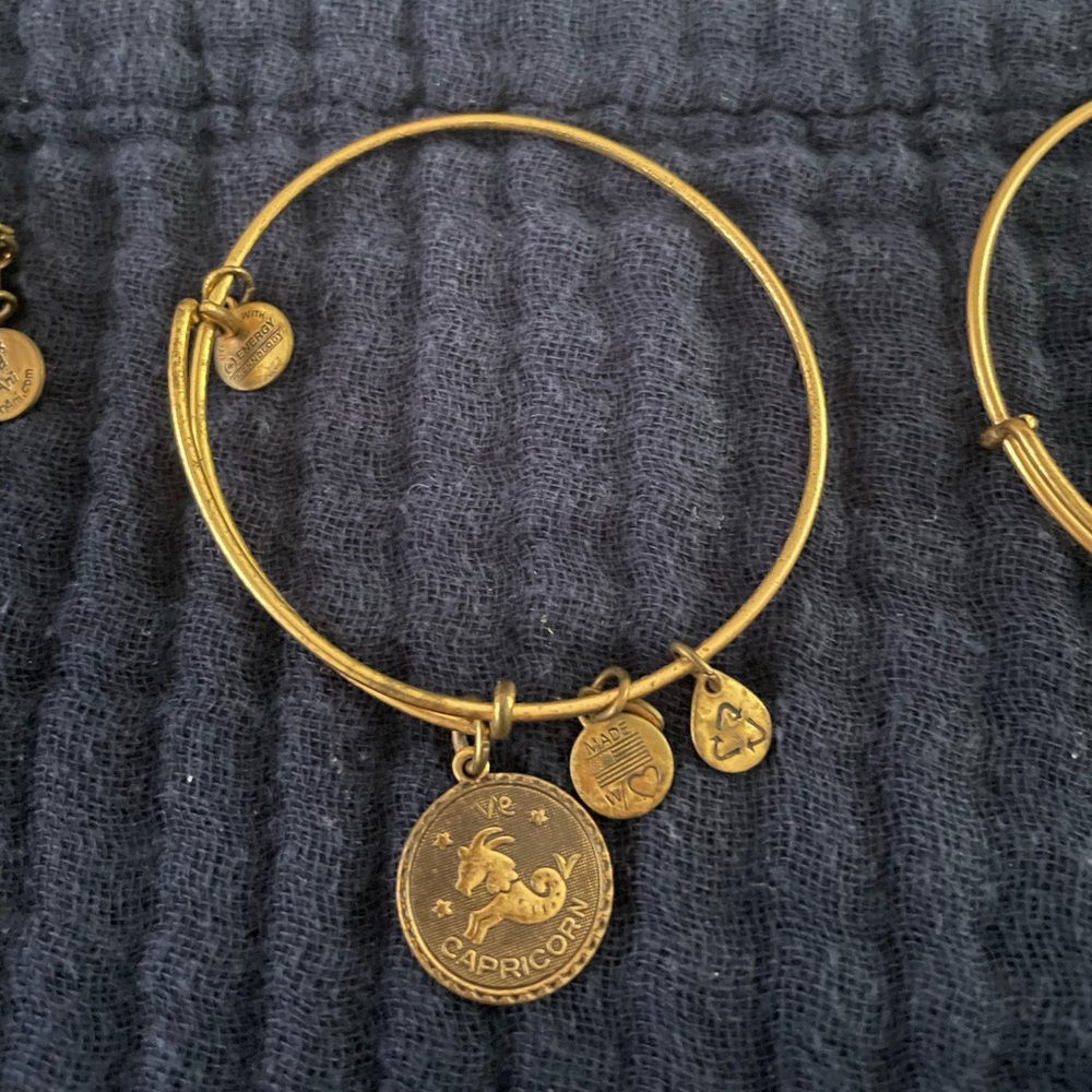 Alex and Ani Capricorn Charm Expandable Bracelet